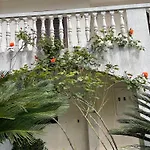 House Irena