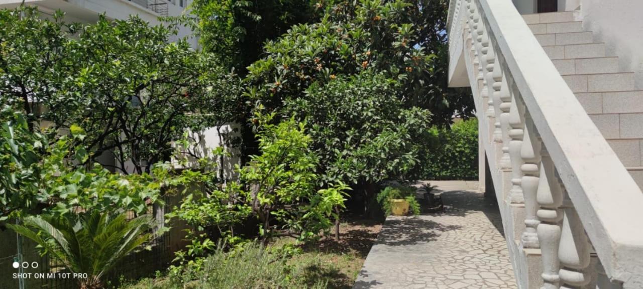 Gasthof House Irena Budva